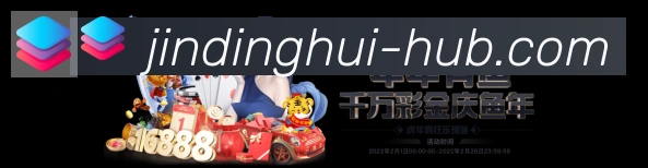 未来规划